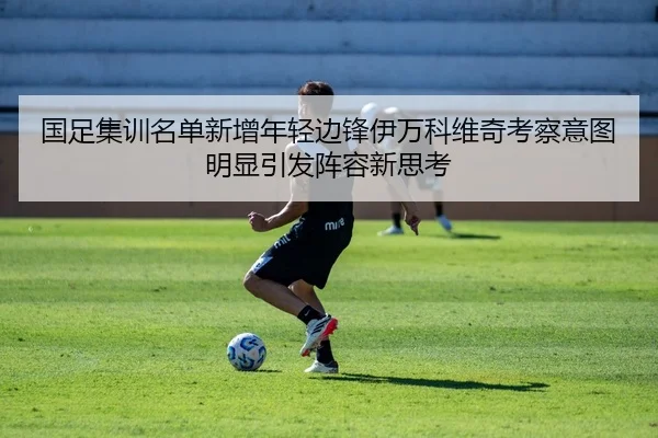 国足集训名单新增年轻边锋伊万科维奇考察意图明显引发阵容新思考